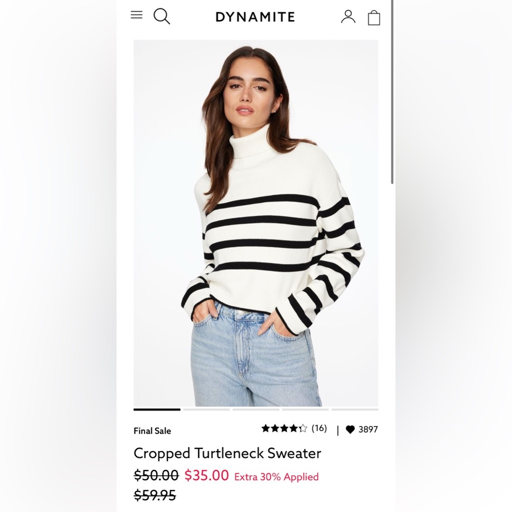 Dynamite Striped Turtleneck Sweater in Cream and Black